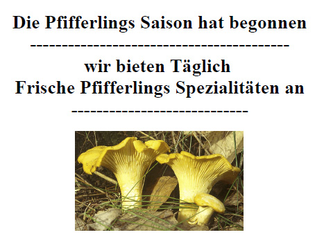 Pfifferlinge